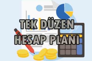 Tek Düzen Hesap Planının Kurumlar İçin Önemi