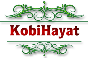 KobiHayat : İşinizin Başarılı Geleceği İçin Yanınızda