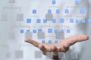 Yüzde Yüz Kurumsal Yapı Oluşturmak