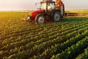 Çiftçilerimizin Ülke Kalkınmasındaki Rolü ve Desteklenmesi Gereken Alanlar