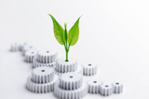 Ticarette Organik Büyüme: Uzun Vadeli Başarı için Doğal Gelişim